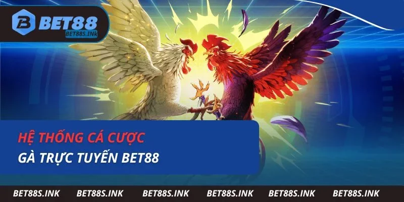 Hệ thống cá cược gà trực tuyến Bet88