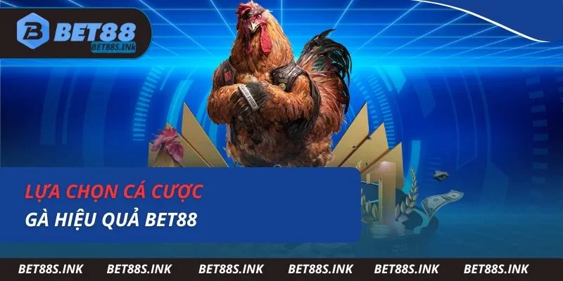 Lựa chọn cá cược gà hiệu quả Bet88