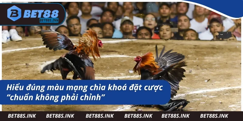 Phân tích về màu mạng đá gà mà bạn cần nắm